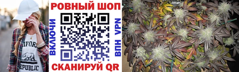 Купить закладку Кызыл А ПВП  Галлюциногенные грибы  Гашиш  Меф мяу мяу  Каннабис  Cocaine 