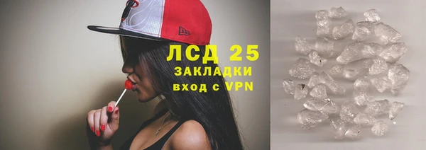 шишки Майский
