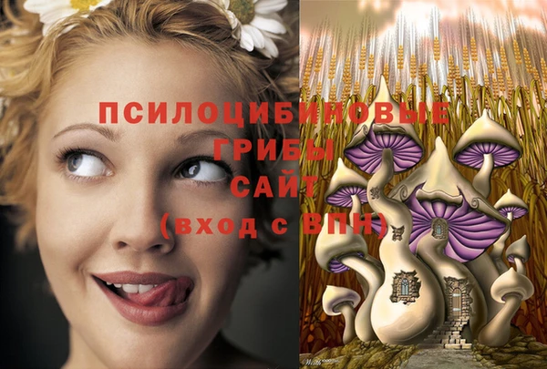 кокс Абаза