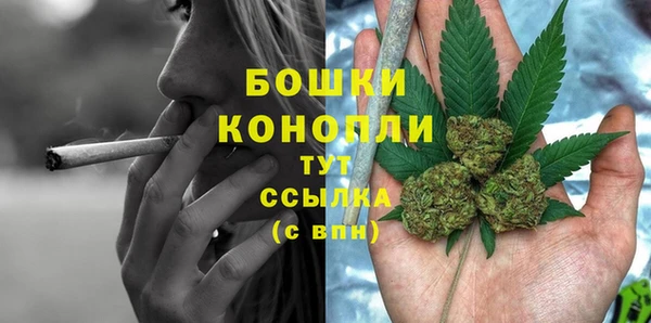 шишки Майский