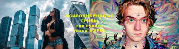 индика Магас