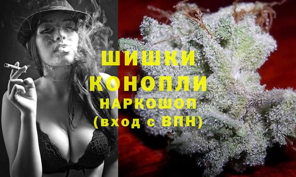 индика Магас