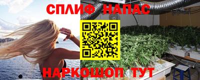 ECSTASY Камышлов